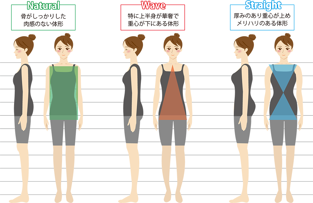 骨格タイプの画像